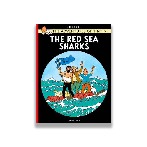 The Red Sea Sharks کتاب کوسه های دریای سرخ