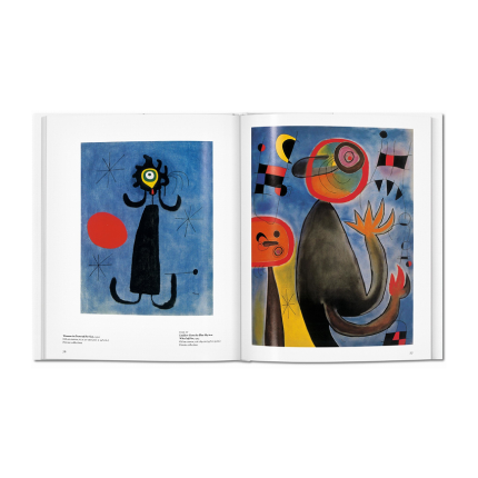 کتاب Miró Basic Art