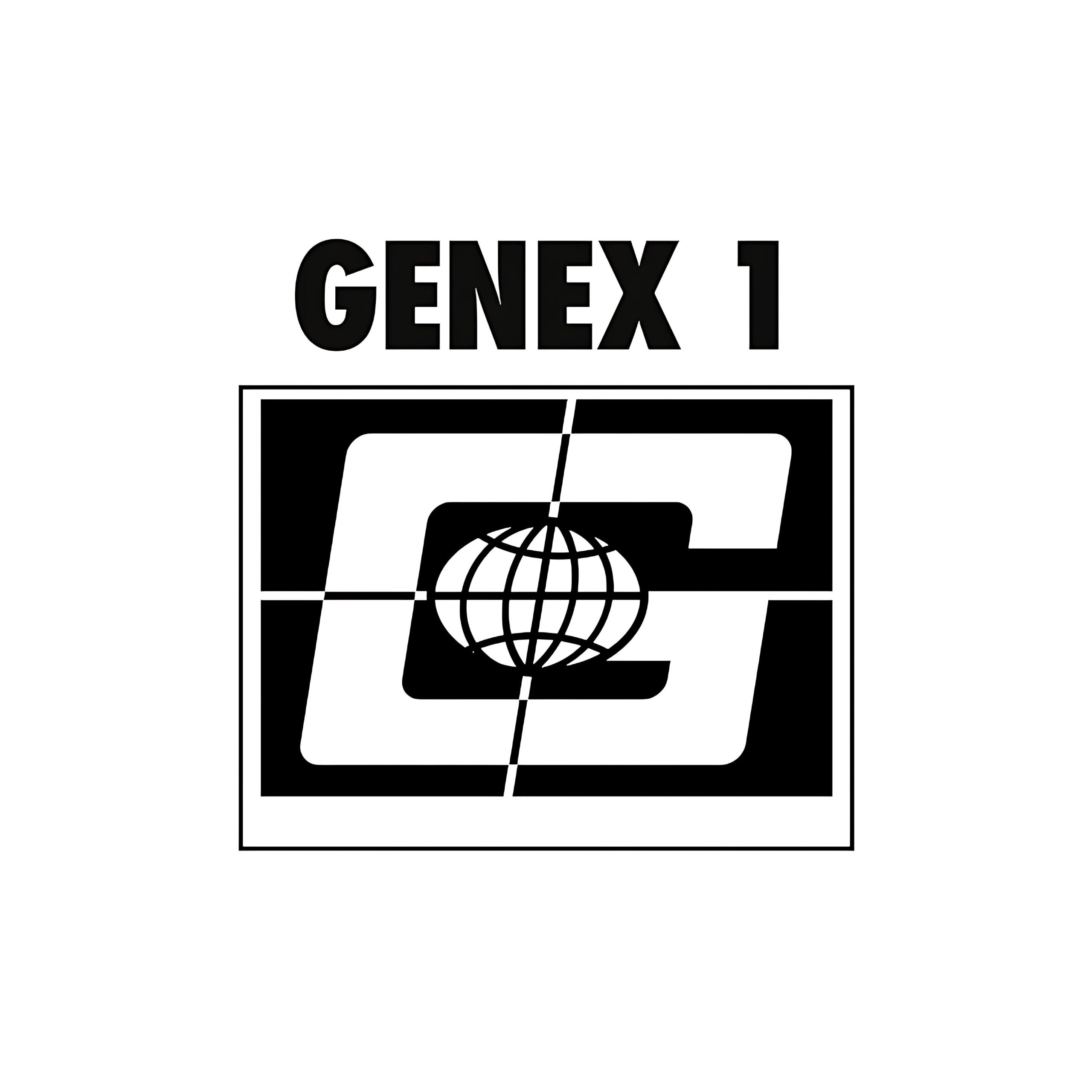 صفحه گرام Sascha Funke Genex 1، واینال تکنو مینیمال صفحه گرام Sascha Funke Genex 1، واینال تکنو مینیمال