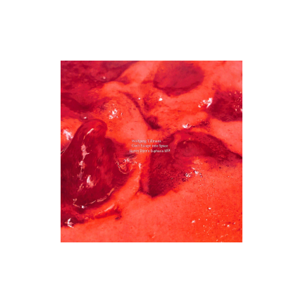 صفحه گرام Wolfgang Tillmans – Can't Escape into Space