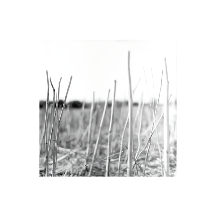صفحه گرام Recondite - On Acid