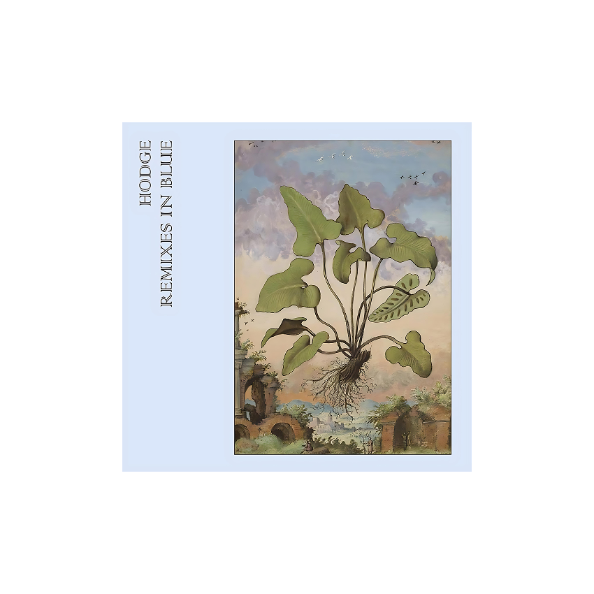 صفحه گرام Hodge - Remixes In Blue صفحه گرام Hodge - Remixes In Blue