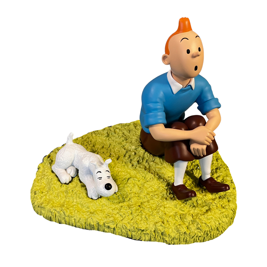 فیگور تن تن Figurine Tintin & Milou "assis dans l'herbe" Tintinimaginatio فیگور تن تن Figurine Tintin & Milou "assis dans l'herbe" Tintinimaginatio