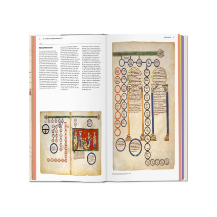 کتاب History of Information Graphics