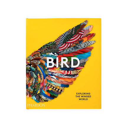 کتاب Bird Exploring the Winged World
