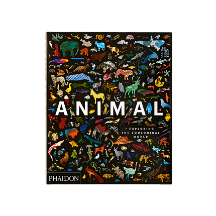 کتاب Animal Exploring the Zoological World