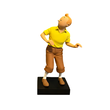 فیگور تن‌ تنTintin Galerie des personnages dans les Aventures de Tintin