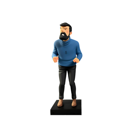 فیگور تن‌ تن Haddock Galerie des personnages dans les Aventures de Tintin