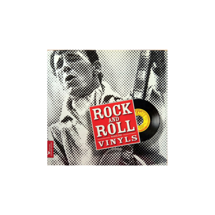 کتاب Rock and Roll Vinyls