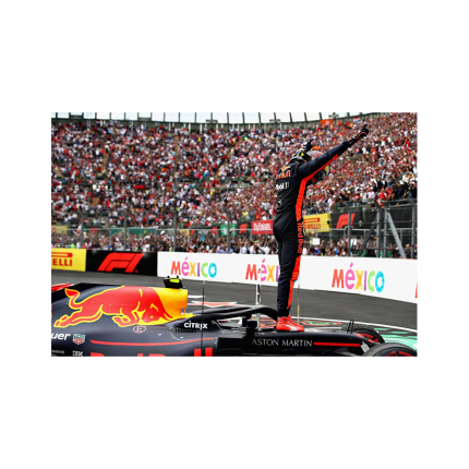 کتاب Max Verstappen The Unstoppable Force In Formula One