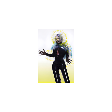 نوار کاست Björk ‎– Vulnicura Limited Edition Color