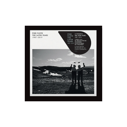 صفحه گرام Pink Floyd – The Later Years (Highlights)
