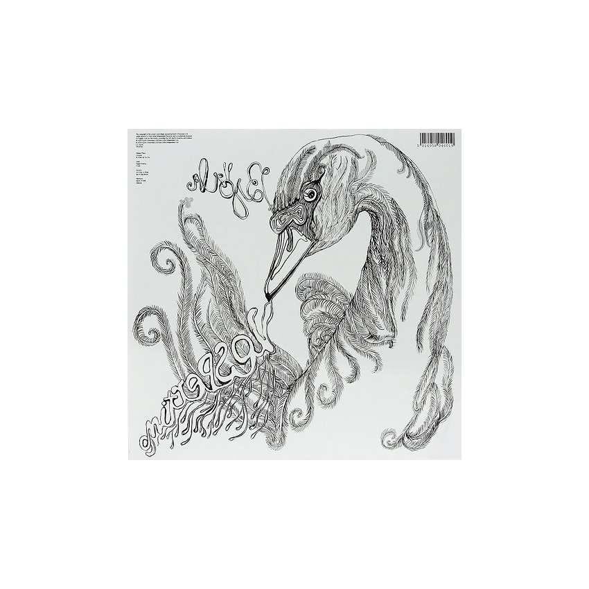 صفحه گرام Björk – Vespertine (2LP)