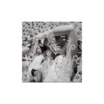 صفحه گرام Björk – Vespertine (2LP)