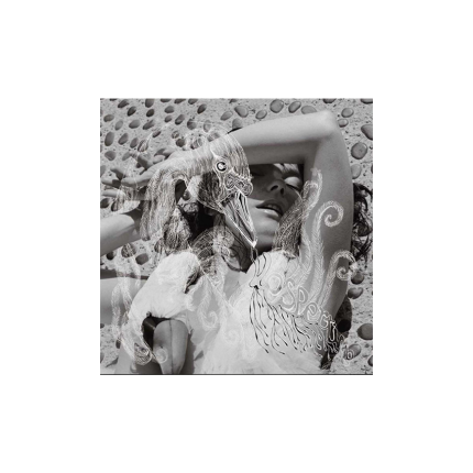 صفحه گرام Björk – Vespertine (2LP)