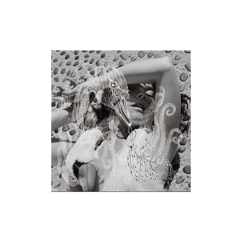 صفحه گرام Björk – Vespertine (2LP)