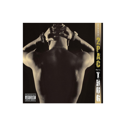 صفحه گرام 2Pac – Best Of 2Pac (2LP)