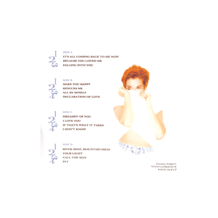 صفحه گرام Celine Dion – Falling Into You 2LP