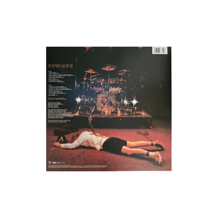 صفحه گرام AC/DC – If You Want Blood You’ve Got It